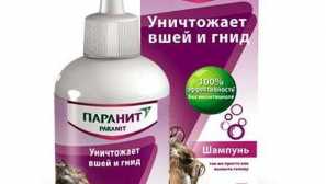 Šampon veda z vši a gdid